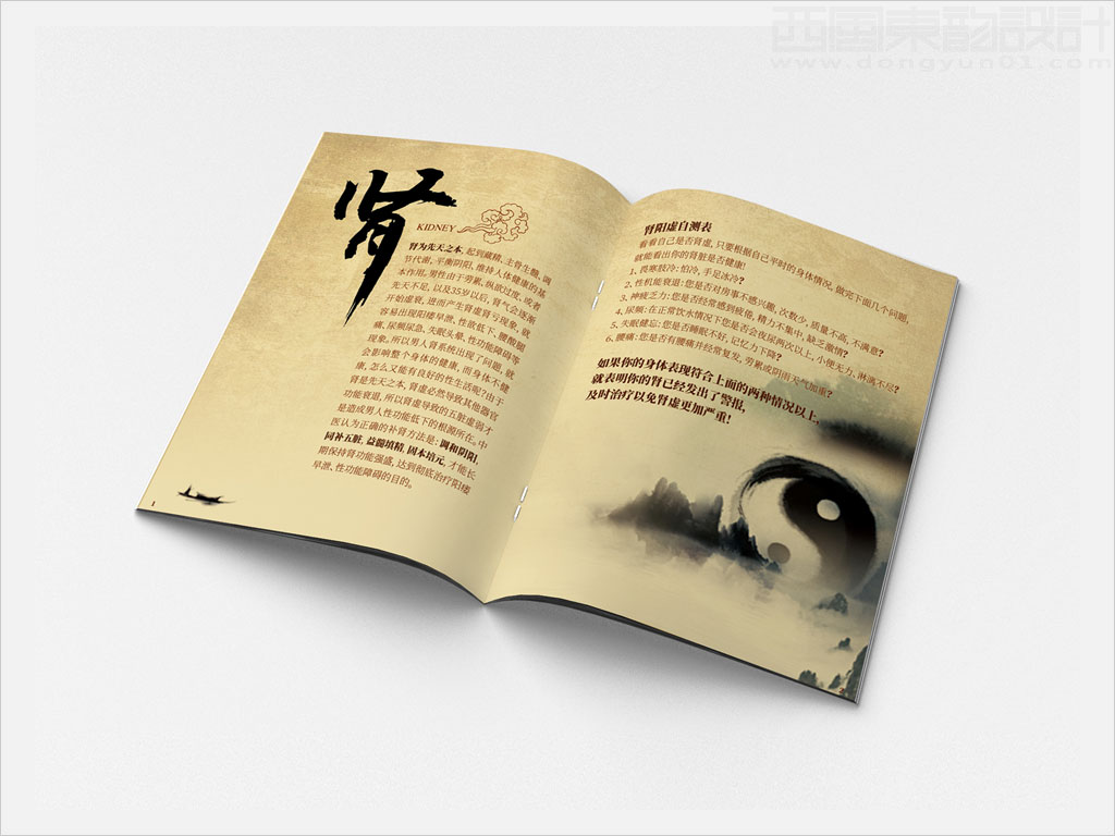 隴藥皇甫謐制藥股份有限公司金剛片產(chǎn)品樣本手冊內(nèi)頁設計