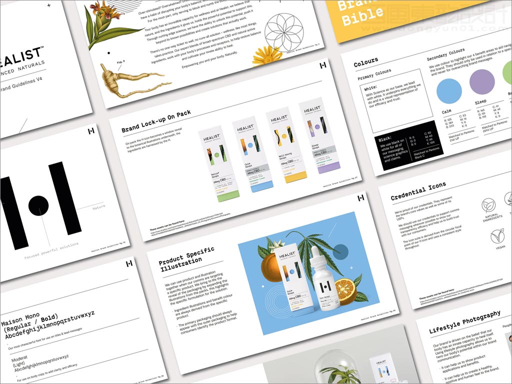 科學與自然完美融合的Healist保健品品牌vi手冊設(shè)計