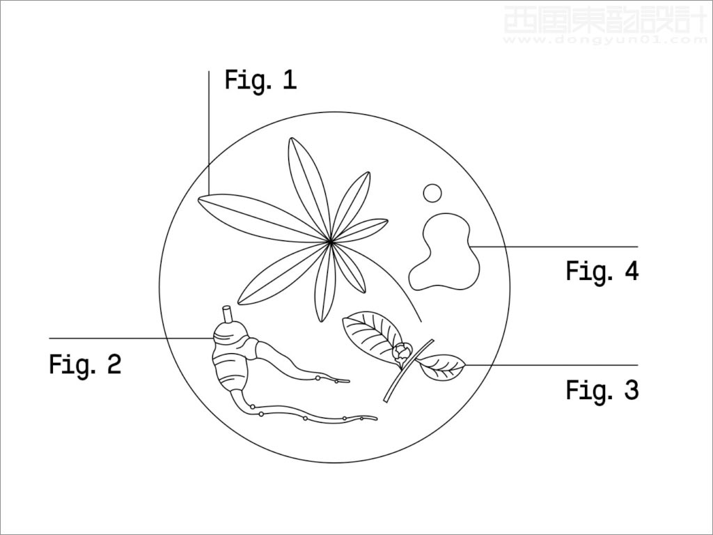 科學與自然完美融合的Healist保健品線稿插圖設(shè)計